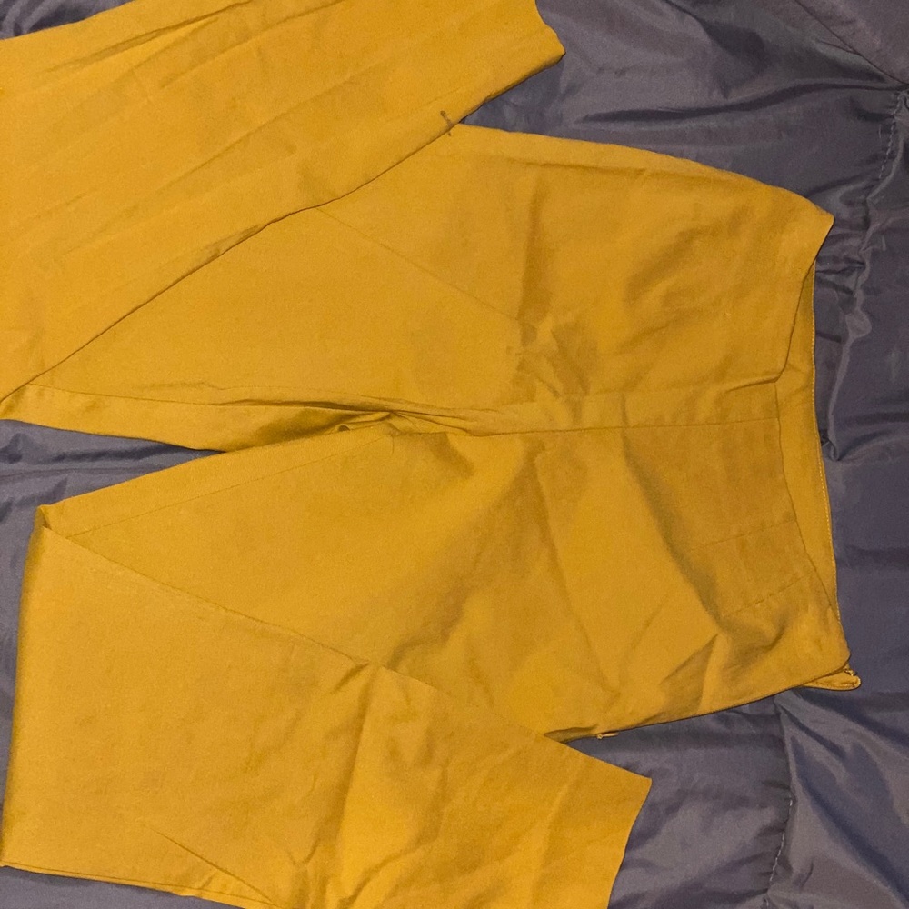 Dress pants
